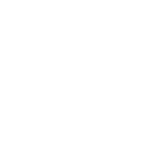Password Reset Icon